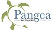 Fotoclub Pangea